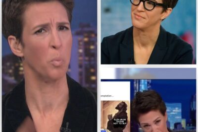 SHOCKING EXIT: Rachel Maddow QUITS MSNBC—Emotional Burnout and Network Chaos EXPOSED in Her Stunning Announcement!