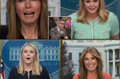 🚨 MSNBC Host Nicolle Wallace’s Fiery Clash with Karoline Leavitt Leaves Viewers Stunned