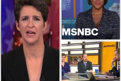 🚨 MSNBC MELTDOWN: Major Stars Suddenly EXIT—Inside the Explosive Drama That’s Shaking the Network to Its Core!