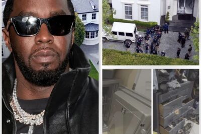 All Evidence Discovered in P. Diddy’s Mansion Raids: A Deep Dive into the Allegations