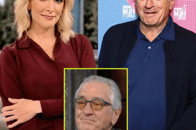 “EXCLUSIVE: Robert De Niro Shuts Down Megyn Kelly with Shocking 8-Word Response LIVE—The Unbelievable Moment That Left the Entire Studio Stunned! What Did De Niro Say That Completely Silenced the Veteran Host?