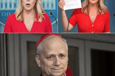 CATHOLIC CHURCH IN PANIC: Karoline Leavitt Unleashes Unexpected Bombshell on First American Pope—One Sentence From the Podium Unravels His Carefully Crafted Image and Ignites a Religious Crisis Like Never Before