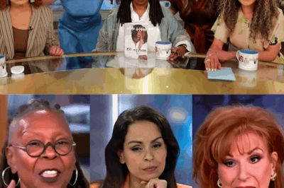 SHOCKING MOVE: ‘The View’ Hosts on Notice as ABC Issues Stern Warning Over Recent Controversial Remarks—What Are the Consequences and How Will the Hosts React to the Growing Tension?
