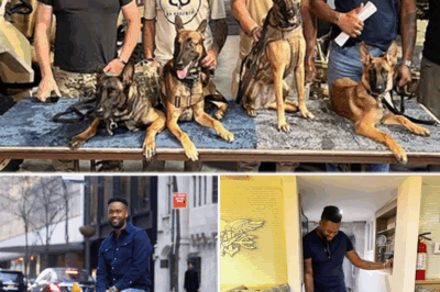 SHOCKINGLY HEARTWARMING: When Nala the Dog Entered Lawrence Jones’ Life, No One Could Have Predicted What Would Happen Next—The Fox News Rescue Story That Melted Hearts Around the World!