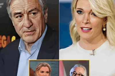 SHOCKING LIVE TV CONFRONTATION: Robert De Niro SILENCES Megyn Kelly After She Calls Him ‘Extremely Stupid’—What Did He Say That Left Her Speechless?”