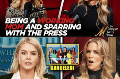 FOX NEWS SHOCKER: Karoline Leavitt CRUSHES The View—NETWORK COLLAPSES AFTER HER EXPLOSIVE ACTION, AND MEGYN KELLY’S REACTION SAYS IT ALL