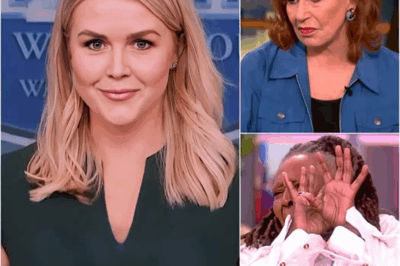 EXPLOSIVE TV MOMENT: Karoline Leavitt Drops Brutal Bombshell on The View—One Sentence That Shook the Entire Studio! The Shocking Reaction and Why Fans Are Calling It “The Line That Ended The View.” What Happened Next Will Leave You Speechless!