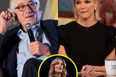SHOCKING TURN OF EVENTS: Robert De Niro’s 8-Word Retort to Megyn Kelly Leaves Studio Stunned—What Happened Next Has the Media in Uproar!