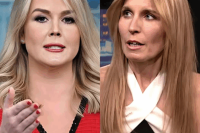 KAROLINE LEAVITT’S EPIC SHOWDOWN WITH NICOLLE WALLACE—FANS IN SHOCK UNTIL THE TRUTH EMERGES AND EVERYTHING CHANGES