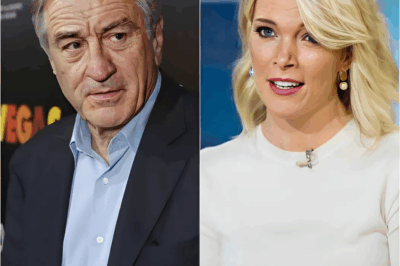 UNEXPECTED TV SHOWDOWN: Robert De Niro RESPONDS TO MEGYN KELLY’S ‘EXTREMELY STUPID’ INSULT WITH 8 SIMPLE WORDS THAT STUNNED THE AUDIENCE AND HOST