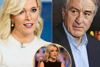 ROBERT DE NIRO’S SHOCKING 8-WORD RESPONSE TO MEGYN KELLY AFTER SHE CALLS HIM “EXTREMELY STUPID” LIVE ON AIR—The Tense Moment That Took Over TV, Leaving the Studio in Absolute Silence.