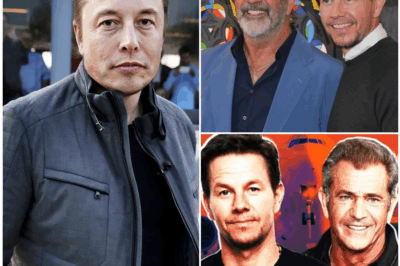 “HOLLYWOOD SHOCKWAVE: Mel Gibson, Mark Wahlberg, and Elon Musk Unveil $3 Billion ‘Non-Woke’ Film Studio—Declaring War on Hollywood’s Elite! In an unprecedented move, Gibson, Wahlberg, and Musk are set to change the face of family entertainment with a $3 billion investment that challenges the progressive agendas dominating Hollywood.