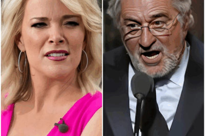 “Robert De Niro SHOCKS Megyn Kelly With 8-Word Burn That Leaves Studio Frozen—Did She See It Coming?” Tensions erupted live on air when Megyn Kelly called Robert De Niro “extremely stupid” in a scathing on-air segment. But in an unexpected turn, De Niro’s 8-word reply left Kelly and the studio speechless. The moment was so sharp that it stopped the conversation dead in its tracks, causing gasps and chaos to ensue. Fans and viewers are still reeling from this explosive moment—did Kelly expect this comeback? The answer is no. Read on to find out how Robert De Niro flipped the script in one of the most shocking moments in TV history.