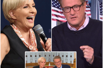 “‘We Could Be Fired Tomorrow!’ Morning Joe Hosts SHOCK MSNBC Viewers with Stunning Announcement Amid Comcast’s Plans to Sell the Network!” In an unexpected and jaw-dropping moment, the hosts of Morning Joe made a startling revelation live on air, admitting that the future of MSNBC is in jeopardy as Comcast plans to sell the network. With the possibility of being fired at any moment, the hosts shared their concerns about the uncertain future of the program. Is this the end of Morning Joe? And what does Comcast’s decision to sell MSNBC mean for the future of the network? Find out what’s really going on behind the scenes in this explosive revelation.