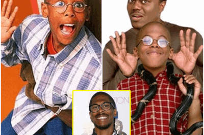 “Happy 34th Birthday to Jeremy Suarez—The Unexpected Journey of the Former Hangin’ with Mr. Cooper Star!” Happy 34th birthday to Jeremy Suarez! The former child star from Hangin’ with Mr. Cooper has taken a unique path since his TV days. What’s Jeremy up to now, and how did his career evolve after his childhood fame? Fans are in for a surprise when they learn what the actor has been doing over the years. Let’s explore his unexpected journey since leaving the spotlight.