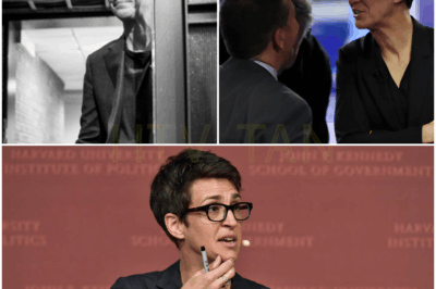 BREAKING: Rachel Maddow’s Shocking Move to Launch Her Own Unfiltered News Network—Inside Sources Reveal the Secret Battle That Almost Stopped Her! No More Corporate Control, No Sponsors, Just Pure Editorial Freedom! Will She Change the Future of Journalism Forever?