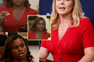 BREAKING: KAROLINE LEAVITT HUMILIATES REPORTER OVER L.A. RIOT LIES—HER SHOCKING RESPONSE LEFT THE ROOM IN SILENCE! What Was Supposed to Be a Simple Interview Turned Into an EXPLOSIVE SHOWDOWN When Leavitt Exposed the Reporter’s False Narratives About the L.A. Riots.