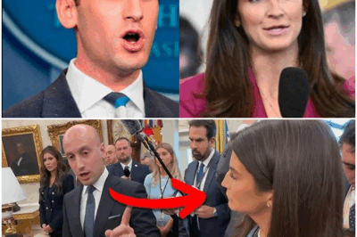 “SHOCKING OVAL OFFICE CLASH: Stephen Miller Delivers Brutal Takedown of Kaitlan Collins—Viewers Left Speechless!