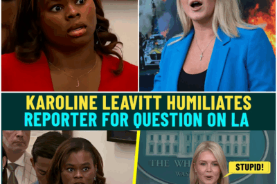 SHOCKING MOMENT: KAROLINE LEAVITT DESTROYS REPORTER WITH ONE LINE, SENDING THE WHITE HOUSE BRIEFING INTO CHAOS—WHAT SHE SAID LEFT THE ROOM IN SILENCE!