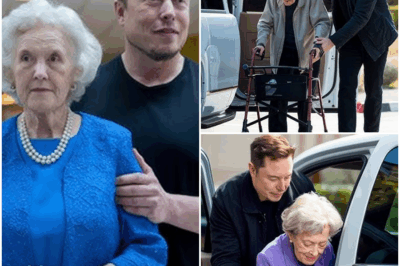 OUTRAGEOUS: BANK STAFF KICKS ELDERLY WOMAN OUT—THEN ELON MUSK WALKS IN AND DOES THE UNTHINKABLE!