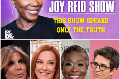 “MSNBC’s Shocking Mistake: Joy-Ann Reid’s 20-Year Secret Revealed! From Fired Host to 160,000 Subscribers – How She’s Building a Media Empire That’s Making Executives Sweat!”