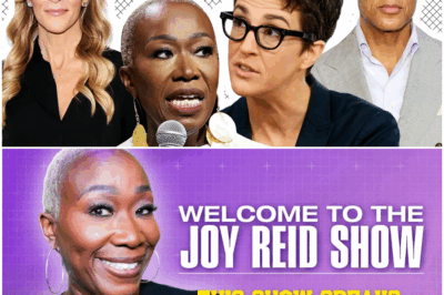 “MSNBC Fired Joy-Ann Reid, Thinking They’d Solved a Problem—Four Months Later, She’s Crushing It with 160,000 Paying Subscribers and a Media Empire That’s Making Executives Sweat! Industry Experts Call It ‘The Biggest Blunder in Cable News History.’ What’s Her Secret? It’s Simpler Than You Think, and It’s Exactly What America Has Been Waiting to Hear!”