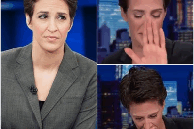 SHOCKING MOMENT: Rachel Maddow BREAKS DOWN LIVE on Air, Fighting Back Tears Over Child Separation Crisis—Viewers Stunned as the Veteran Journalist Struggles to Maintain Composure! The Raw Emotion Behind Maddow’s Apology Leaves Fans in Silence, But It’s What She Revealed Afterward That Has Everyone Talking. What Did Maddow Say That Took the World by Surprise? Behind the Calm Reporting Lies a Heartbreaking Truth—You Won’t Believe What Maddow Exposed About the Crisis That Moved Her to Tears.