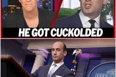 RACHEL MADDOW PUBLICLY HUMILIATES STEPHEN MILLER AFTER WIFE’S SCANDAL ERUPTS—THE SHOCKING TRUTH REVEALED ON LIVE TV!