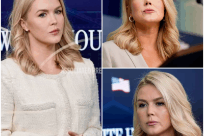 “Karoline Leavitt Cracks Under Pressure as MAGA Trolls Turn on Her: ‘Gaslighting’ Accusations and Media Ridicule Take Their Toll! As the White House Press Secretary Faces Intense Scrutiny, Her Once Unshakable Confidence Begins to Erode. What’s Behind the Rising Tension? Could This Be the Beginning of the End for Leavitt’s Role in the Trump Administration? Fans Are Divided, and the Backlash Is Only Growing—What’s Next for the Young MAGA Star?”