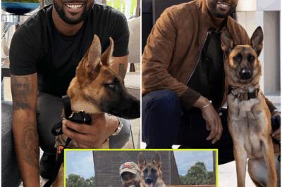 “A Must-Know Story: How Nala the Dog SHOCKINGLY Saved Lawrence Jones’ Life—The Unbelievable Bond That Changed Everything! What’s the Hidden Truth Behind This Life-Altering Connection?”