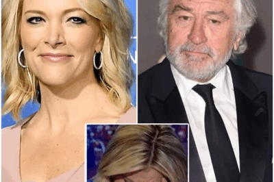 ROBERT DE NIRO’S 8-WORD REPLY STUNS THE STUDIO AFTER MEGYN KELLY’S BRUTAL INSULT—AND THE STUDIO FROZE IN SHOCK! 😱🔥  In a jaw-dropping moment on live TV, Robert De Niro delivered an 8-word reply to Megyn Kelly after she threw a brutal insult his way. The studio went completely silent as Kelly faced an unforgettable, unrelenting reaction that left the audience stunned. What did De Niro say that shut Kelly down so effectively? Get the full, explosive details of this live confrontation below 👇🔥
