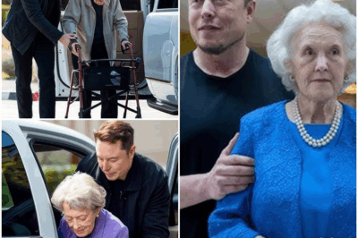 SHOCKING SCENE: BANK STAFF KICKS ELDERLY WOMAN OUT—THEN ELON MUSK STUNS EVERYONE WITH THE UNTHINKABLE MOVE THAT LEAVES ONLOOKERS SPEECHLESS!