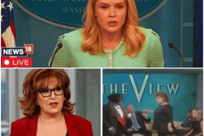 FOX NEWS ERUPTS: KAROLINE LEAVITT OBLITERATES THE VIEW WITH ONE SAVAGE LINE—EVEN THE HOSTS DIDN’T SEE IT COMING! 😲💥  In an explosive moment on live TV, Karoline Leavitt delivered a single sentence that obliterated The View and left the hosts speechless. What started as a routine political debate quickly escalated when Leavitt exposed what millions of viewers have suspected about the show for years. The stunned silence that followed was captured on camera, and within minutes, the clip went viral. Fans are calling it the “most satisfying takedown of the year.” What did she say to leave everyone in shock? Find out below 👇🔥