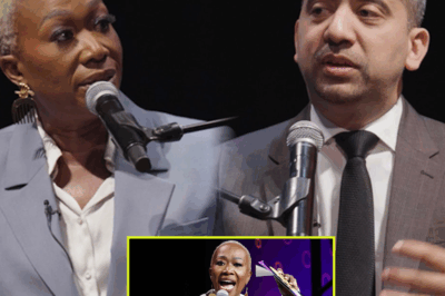 : SHOCKING EXCLUSIVE: “They Wanted to Silence Me” — Joy Reid Breaks Down in Explosive Interview After Being Abruptly Fired LIVE on Air! What Really Happened Behind the Scenes?