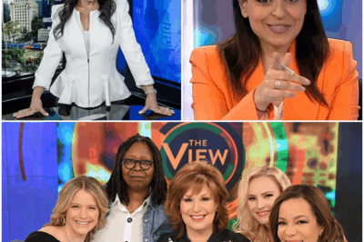 “SHOCKWAVES ON LIVE TV: Rita Panahi UNLEASHES on Whoopi Goldberg—‘Dumb, Dishonest, Dangerously Delusional!’ The Studio ERUPTS as Goldberg FIRES BACK in Explosive Feud! What Sparked This Jaw-Dropping Confrontation? The Tense On-Air Clash Left Viewers Stunned, With Shocking Words Exchanged That Have Everyone Talking. Was This the Moment Whoopi Lost Her Cool, or Is There More to This Battle Than Meets the Eye? The Fallout is Just Beginning—You Won’t Believe What Happens Next!”