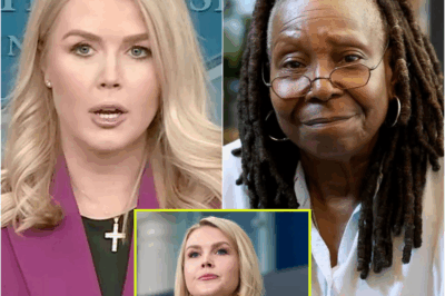 SHOCKING TV SHOWDOWN: Karoline Leavitt DEMANDS Boycott of ‘The View’ LIVE—The Bold Move That’s Shaking the Internet, Fans Go Wild!
