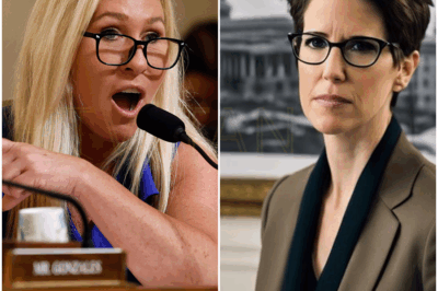 “SHOCKING MOVE: Rachel Maddow SECRETLY Plans to Launch Her Own Independent News Network—Breaking Free from MSNBC’s Grip!