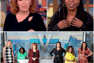 The View’s Dark Secret: The Talk Show Shakeup They Don’t Want You To Know About!