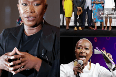 After MSNBC’s Attempt to Silence Her, Joy-Ann Reid Is Now the Media Sensation with 160,000 Subscribers and a Rising Empire That’s Shocking Industry Executives!”