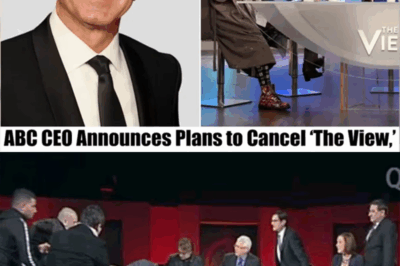 “BREAKING: ABC CEO Shocks the World with Decision to Cancel ‘THE VIEW’ After 20 Years—What’s Behind This Unbelievable Move and Why Are They Ending This Iconic Show?”