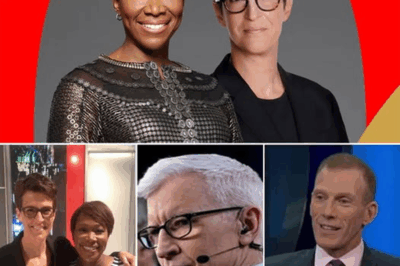“MSNBC in Crisis: The Shocking Firing of ‘Most Dangerous’ Host and Hidden Power Struggles Between Joy-Ann Reid and Rachel Maddow—What It Means for the Future!”