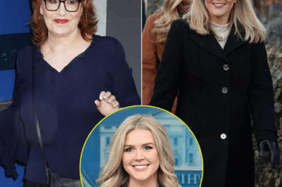 Karoline Leavitt’s Stunning Legal Victory Shuts Down The View – Network in Crisis as Joy Behar Breaks Down Live on Air!