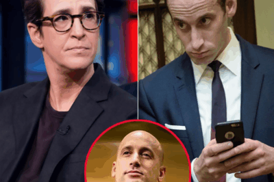 “LIVE TV SHOCKER: Rachel Maddow Slams Stephen Miller Over Bombshell Scandal, Leaving Him Speechless and Exposed!”