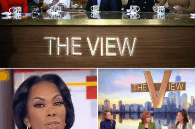 Harris Faulkner Slams The View as ‘Toxic Drama’ Amid Shocking Ratings Surge—Is This the End of Daytime TV as We Know It?