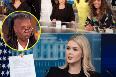 Chaos Erupts as Karoline Leavitt Launches $800 Million Lawsuit Against ‘The View’—Her 14 Words Spark Legal Firestorm, Leaving the Show Desperate for a Way Out!”