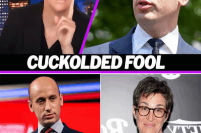 “‘Rachel Maddow Takes Down Stephen Miller Live on Air—‘You Want to Talk Morals?’ The Shocking Scandal That Left Him Stammering!”