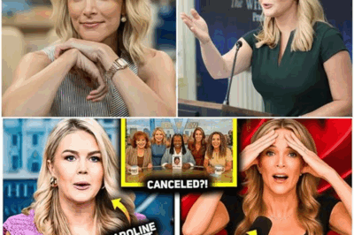 “BREAKING: The View’s Crushing Defeat in Court—Karoline Leavitt’s Legal Triumph and Megyn Kelly’s Explosive 12-Word Statement Leave The Media World Reeling! Could This Mark the End of The View as We Know It? The Untold Story Behind the Legal Battle That Shook the Foundations of Daytime Television!”