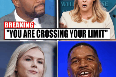 A Retired NFL Star Tried to Corner Karoline Leavitt on Live TV—What Happened Next SHOCKED Everyone!