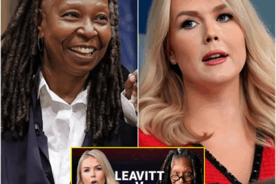 “Tears and Panic Unleashed: Karoline Leavitt’s World Shattered as The View Reverses $800 Million Lawsuit—’The Danger is Close’—What Happens Next Will Leave You Speechless!