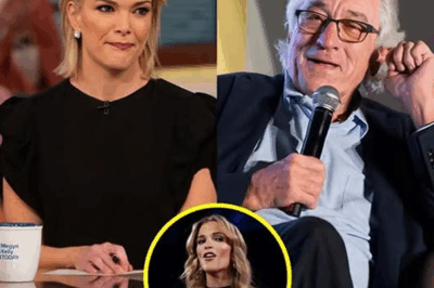 ‘Robert De Niro Silences Megyn Kelly Live on Air with 8 Words’—The Moment Fans Are Calling ‘Unforgettable!’ What Did De Niro Say That Stopped Kelly in Her Tracks? The Shocking Confrontation That Has Everyone Talking!